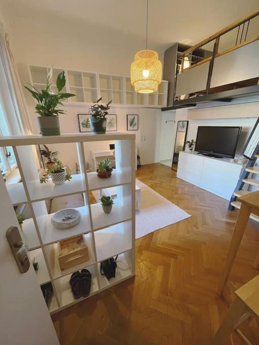 Stefanka Apartment Old Town ブラチスラヴァ エクステリア 写真